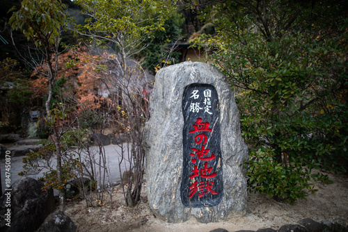 Фотография The scenery of chinoike jigoku in Beppu City, Oita Prefecture, Kyushu, Japan