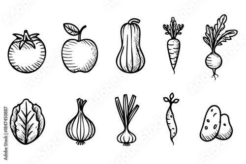 Set of vegetables including a tomato, an apple, a carrot, and a squash. The vegetables are drawn in black and white