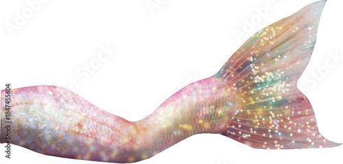 Soft pastel pink mermaid tail with golden iridescent sparkles and gentle flowing fin, romantic watercolor ocean fantasy artwork for weddings, birthdays, nursery decor and crafts

