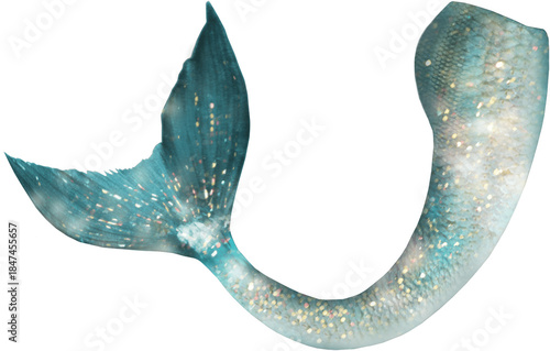 Curved teal mermaid tail with soft golden sparkles and delicate scales, elegant underwater fantasy fin illustration for ocean characters, invitations, room decor and craft projects

