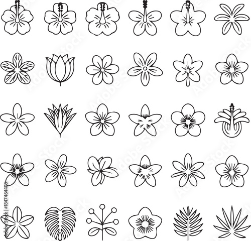Tropical Hibiscus and Plumeria Line Art Vector Exotic Floral Outline Icons for Summer Branding Wedding Decor and Botanical Illustration