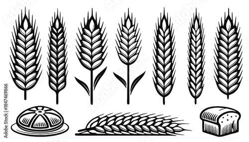 A collection of wheat stalks and baked goods is depicted in a graphic illustration.