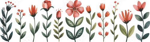 Minimalist watercolor floral border with single flower type and clean lines