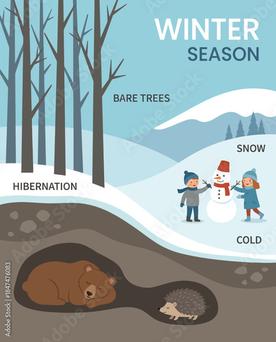 Poster of Winter Season Animals Hibernating in Cozy Burrows. EPS Editable