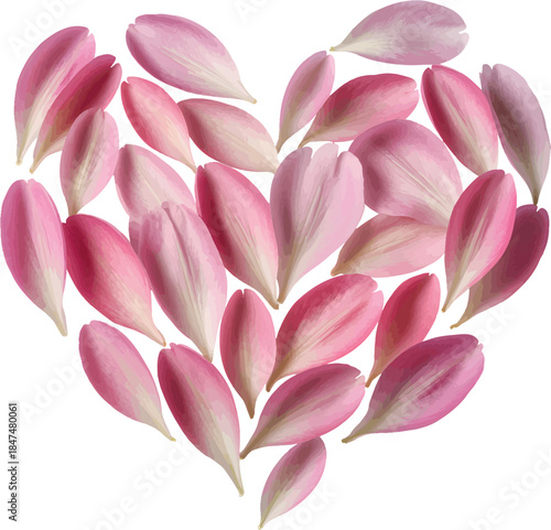 Peony petals forming heart shape, soft blush tones, isolated background