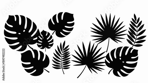 Collection of diverse tropical leaves in silhouette, creating a natural and elegant botanical pattern.