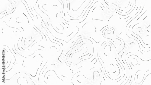 Abstract topographic map pattern with flowing contour lines in a minimalist white and grey design.