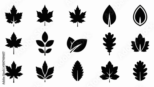Collection of diverse botanical leaf silhouettes representing nature and growth