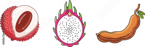 Flat vector illustration of tropical exotic fruits