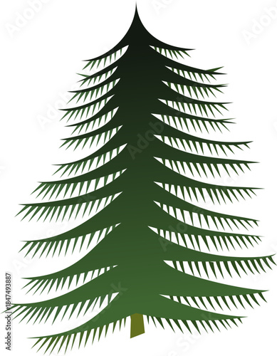 Stylized Green Spruce, Vector Coniferous Tree, Christmas Tree, Forest Pine, Graphic Fir Tree Illustration