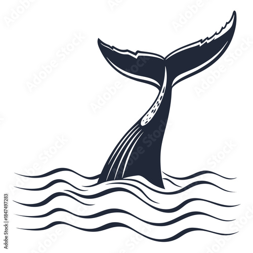 Navy whale tail silhouette above wavy water lines navy blue