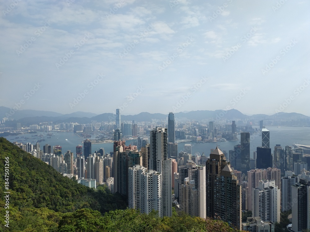 Naklejka premium Panoramic view of Hong Kong skyline and Victoria Harbour from The Peak on a sunny day