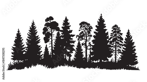landscape with black silhouettes of trees and hills, trees silhouettes set. Black pine woods
