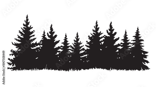 landscape with black silhouettes of trees and hills, trees silhouettes set. Black pine woods
