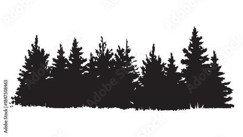 landscape with black silhouettes of trees and hills, trees silhouettes set. Black pine woods
