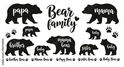 A bear family illustration with labels for each member.