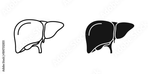 Illustrated comparison of human head structures
