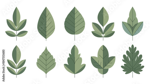 Ten stylized green leaves arranged in two rows on a white background
