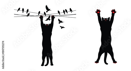Black cat hangs from wires with birds flying around it.