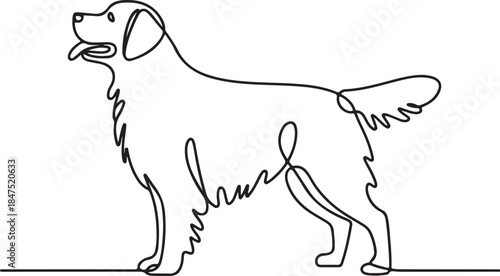Golden Retriever dog outline vector black and white single line drawing
