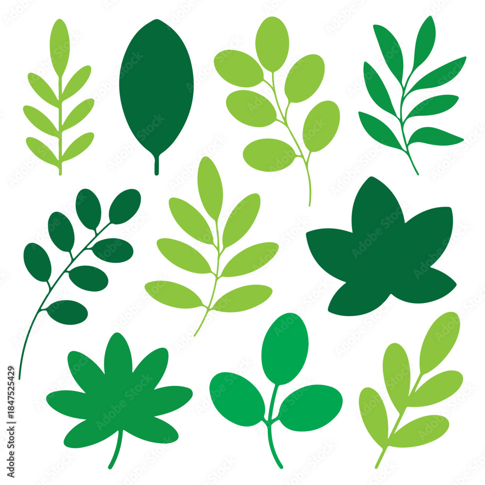 Naklejka premium Set of hand-drawn leave silhouette on a white background, nature leaves collection vector illustration, vector icon . Collection of Black Silhouettes of Tropical Leaves and Monstera palm leaf .