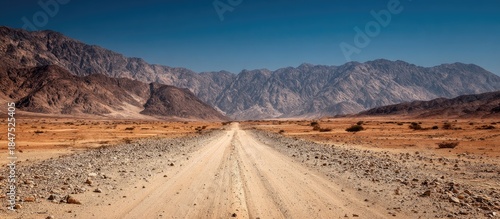 A straight, unpaved road leads toward distant mountain peaks under a clear blue sky. Sparse trees dot the arid landscape