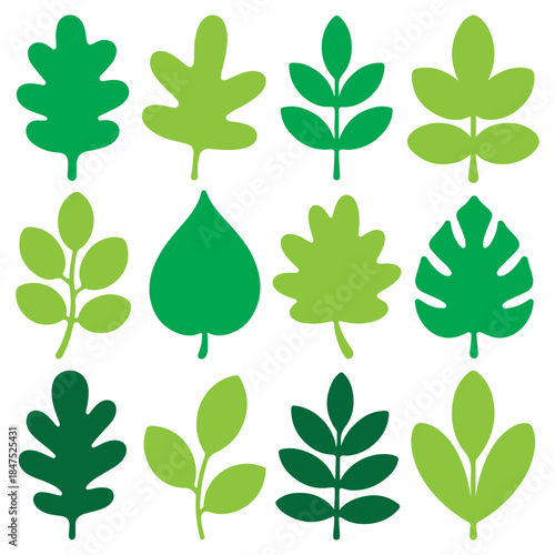 Tropical leaves silhouette vector set, monstera and palm fronds, black jungle foliage icons, isolated on white background, summer nature design elements collection. 