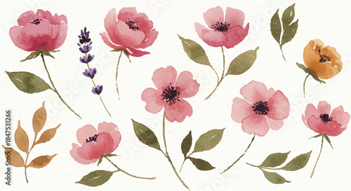 Watercolor floral collection bundle. Mega set of high quality hand painted roses, sunflowers, lilies, tulips, wreaths, bouquets, and frames in PNG format isolated on white background.