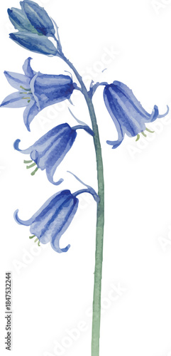 Watercolor floral vector mega collection. Huge bundle of hand painted roses, lilies, sunflowers, and garden wildflowers with wreaths, bouquets, and frames isolated on white background.