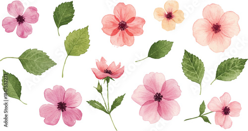 Watercolor floral vector mega collection. Huge bundle of hand painted roses, lilies, sunflowers, and garden wildflowers with wreaths, bouquets, and frames isolated on white background.