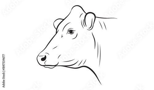 Minimalist outline drawing of a cow's head in profile, representing livestock and farming.