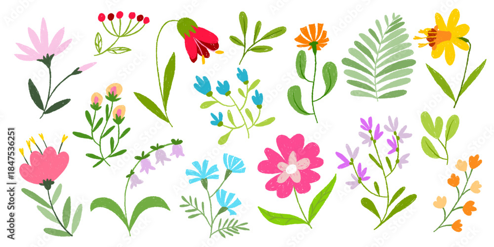 Obraz premium Crayon flower doodles in chalk pastel style, hand drawn spring blooms of bellflowers, daffodil and wildflowers with kid friendly aesthetic. Vector set for children greeting cards, botanical design
