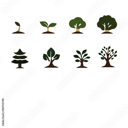 Growth sequence of trees: A collection of stylized tree illustrations showcases the life cycle of trees, from seedling to maturity, embodying growth and the beauty of nature's process.