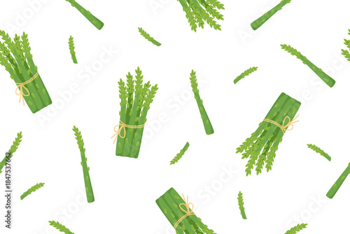 Asparagus vegetable seamless pattern. Nature background of asparagus isolated on white. Gardening, farming and food concept. Vector flat banner. 