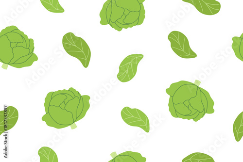 Cabbage vegetable seamless pattern. Nature background of cabbage isolated on white. Gardening, farming and food concept. Vector flat banner. 