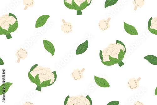 Cauliflower vegetable seamless pattern. Nature background of cauliflower isolated on white. Gardening, farming and food concept. Vector flat banner. 