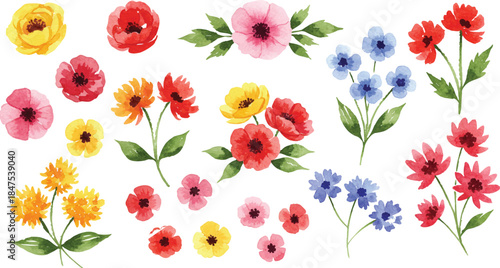 Watercolor floral vector collection. Set of hand painted colorful roses, lilies, tulips, and sunflowers with green leaves isolated on white background.