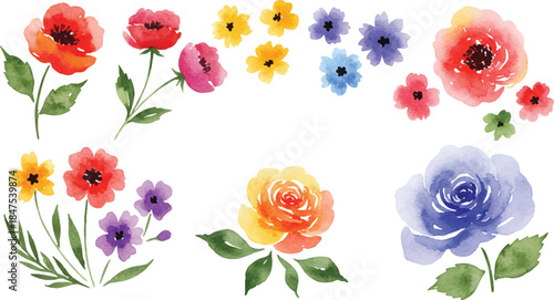 Vibrant flowers and lush greenery illustration showcasing diverse blooms in a colorful arrangement