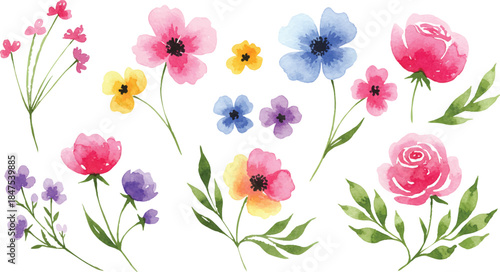 Vibrant flowers and lush foliage depicted in a colorful illustration from a close-up viewpoint