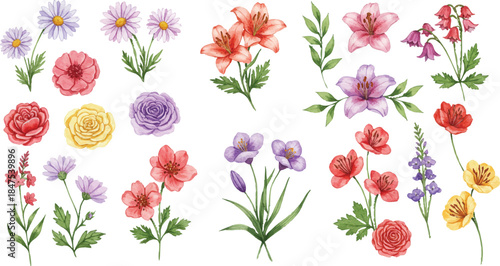 Vibrant floral arrangement featuring diverse flowers and lush foliage in a garden setting from a top-down view