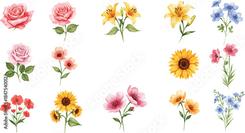 A vibrant collection of assorted flowers arranged in a grid pattern on a clean white background viewed from directly above
