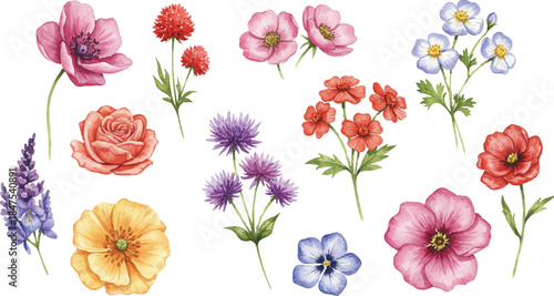 Assorted flowers and plants in full bloom displayed together, showcasing vibrant colors and varied petals, photographed from a top-down viewpoint