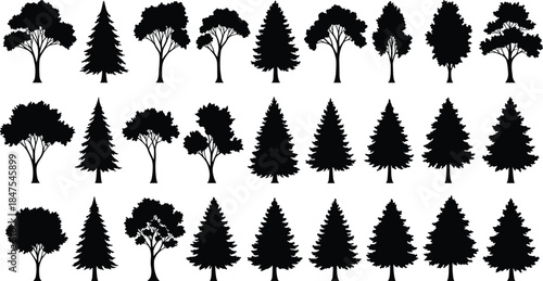 Tree silhouette collection, black forest shapes, botanical diversity, conifer and broadleaf trees, nature icons, foliage forms, isolated tree graphics, vector set