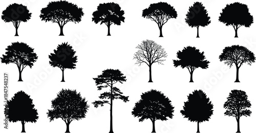 Tree silhouette collection, black tree icons, isolated foliage shapes, botanical graphic set, forest elements, seasonal trees, nature design, vector illustration