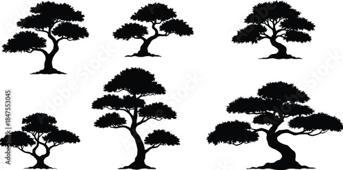 Tree silhouette illustration set, forest graphic elements, black tree shapes, nature vector icons, isolated foliage, artistic woodland design, botanical clipart