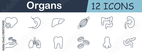 Organs set icon. Heart with cross, stomach, liver, muscle fiber, intestines, kidney, lungs, tooth, red blood cells, nose, pancreas, internal human body parts.