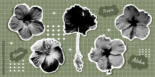 Trendy collage flower stickers set with photo cutout hibiscus, halftone texture and decorative text bubbles. Retro pop floral elements. Contemporary vector illustration
