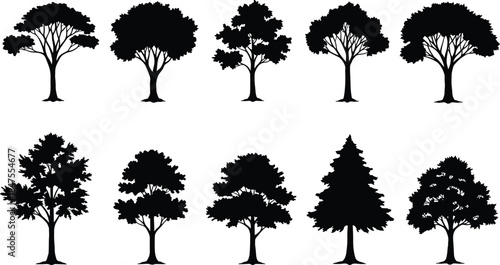 Tree silhouette set, forest shapes, botanical icons, nature design, landscape elements, black trees, vector foliage, seasonal trees, graphic illustration, diverse tree forms