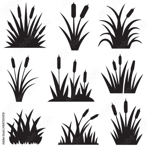Collection of Various Grass and Reed Silhouettes