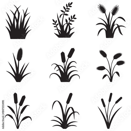 Collection of Various Grass and Reed Silhouettes